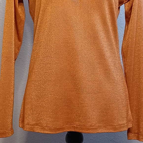 Two Birds in Paris Burnt Orange Metallic Silver Long-Sleeve Top - Picture 5 of 12
